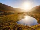 Iceland. Hvanneyrardalur and coastline Strandabyggd in fjord Isafjordur during autumn. Art Print